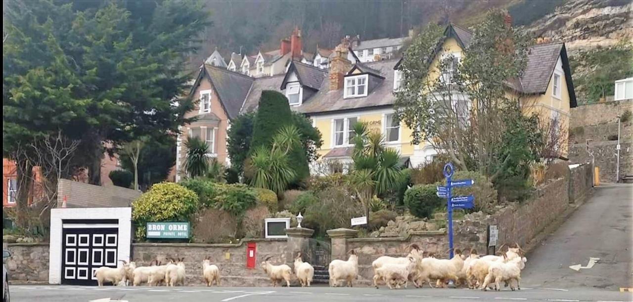 Bron Orme Private Hotel Llandudno Eksteriør billede